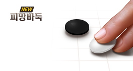 뉴바둑