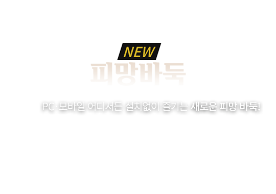 뉴바둑 정식 오픈