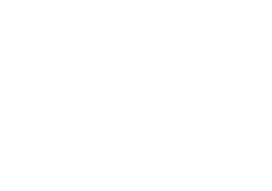 26년 3월 PFGT 진행중